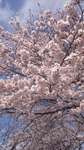 DSC_0016.JPG