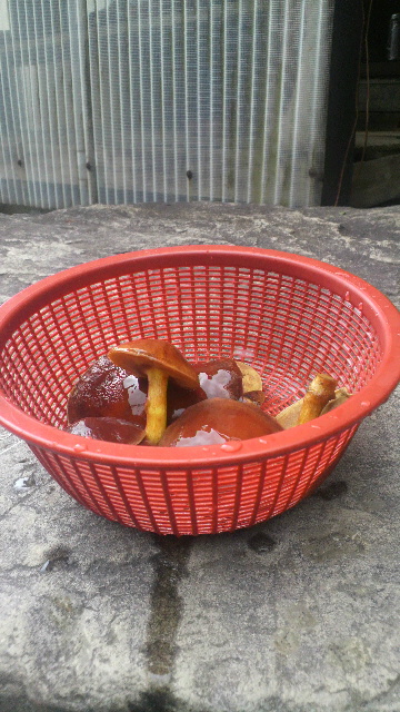 2012100313320000.jpg